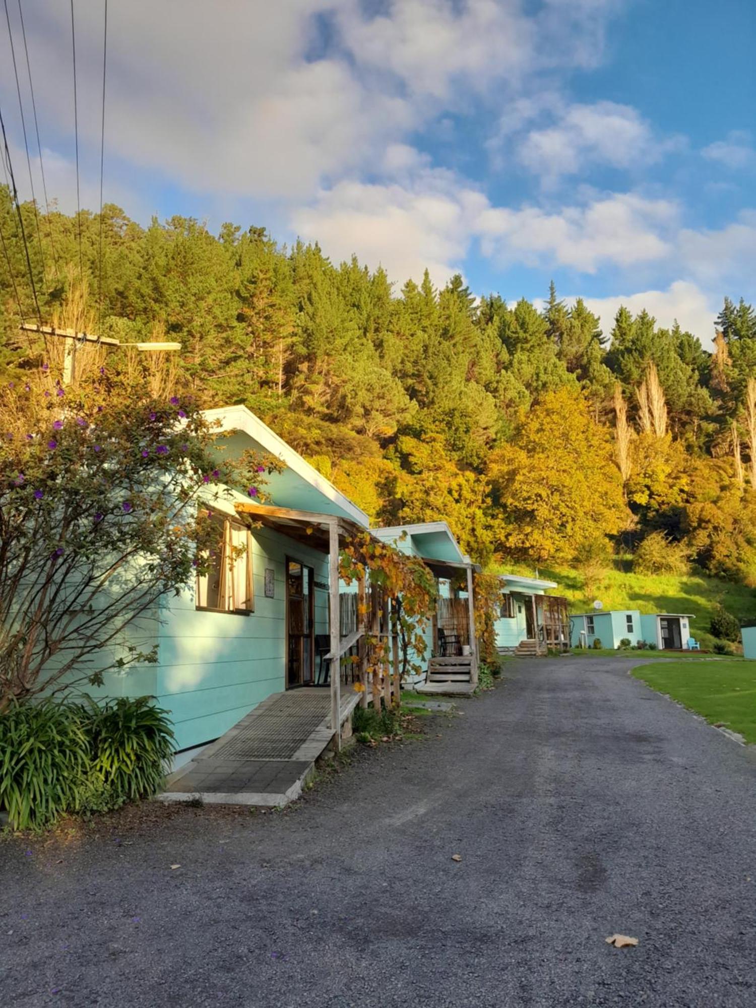 Dickson Holiday Park Thames Exterior foto